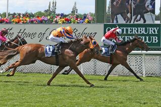 First Serve (NZ) Aces the Canterbury Breeders’ Stakes. Photo: Racing Images, Christchurch.